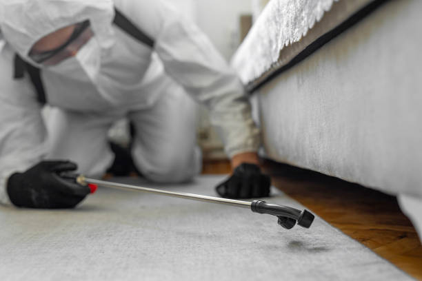 Professional Ant Control technician working in Del Rio, TX