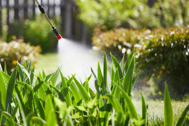 24/7 Emergency Ant Control experts in Del Rio, TX