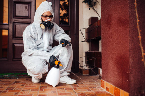 Reliable Ant Control contractor in Del Rio, TX by Show Me Pest Control